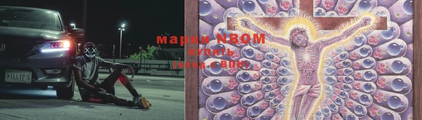 прущие грибы Баксан