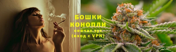 PSILOCYBIN Балабаново