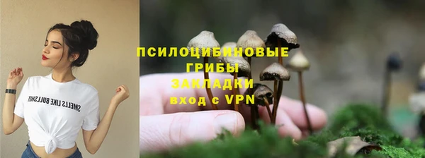 прущие грибы Баксан