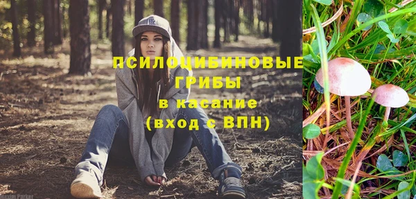 PSILOCYBIN Балабаново