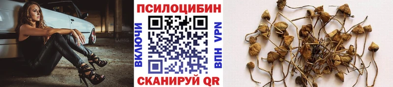 наркошоп  Бутурлиновка  МЕГА   Галлюциногенные грибы Psilocybe 